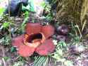 918 KB