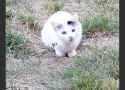 637 KB