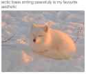 Rule 34 Rule 34 Image