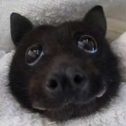 Thread image