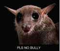 Rule 34 Rule 34 Image