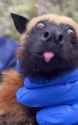 Rule 34 Rule 34 Video