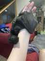 Rule 34 Rule 34 Image