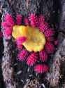 382 KB