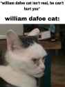 William_Dafoe_cat