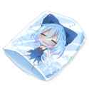 CIRNO FROZEN SLEEP