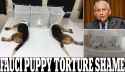 Fauci Beagles Puppies Torture Shame