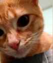 Screenshot_20250516_183443_Photos
