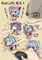 REMILIA CAT ADOPTED