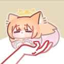 cat sleep in hand