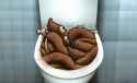 remains inhometoiletwithbones