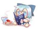 cirno fumo book