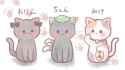 chen cats