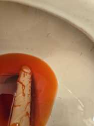 vaxdick-1
