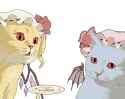 VAMPIRE CATS TALKING