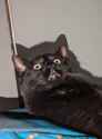 image000000
