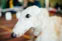 97 KB