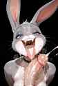 851 KB