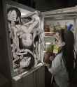 444 KB