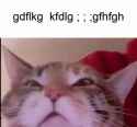 18 KB