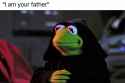 156 KB