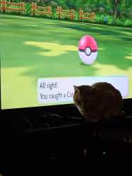 669 KB
