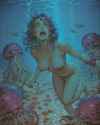 341 KB