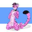157 KB