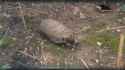 352 KB