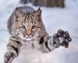 1.38 MB