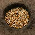 324 KB