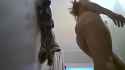 1 MB