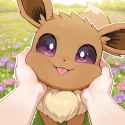 1.1 MB