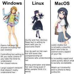 1.43 MB