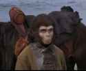 41 KB