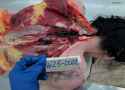 230 KB