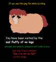 19 KB