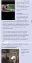 435 KB