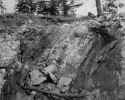 Brown Bear Vein at Fairview BC 1895