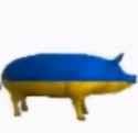 ukranian pig