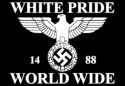 1488 white pride - alt