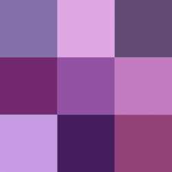 Color_icon_purple_v2.svg