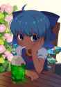 black_cirno