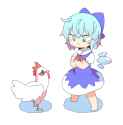 chkn