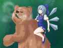 bear
