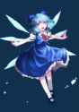Arms_Out_Gliding_Fly