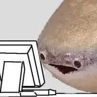 ef28993fe1abe2435992c4913908f371d82ae0bef7ff8c9040b04b355fff4df3