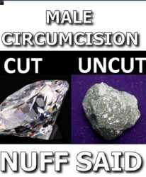 CutTruth