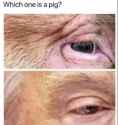 question