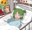 yotsuba hospitalized, 4chan hack commemoration